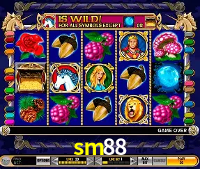 Descubra o Mundo do Cassino Online com sm88